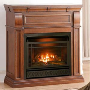 procom-dual-gas-fireplace-insert-with-vent